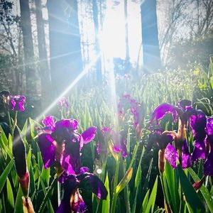 Meet your Posher, Margery